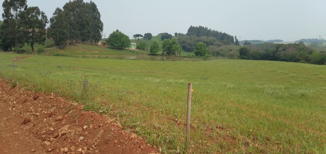 Comprar Área Rural Comprar Área Rural